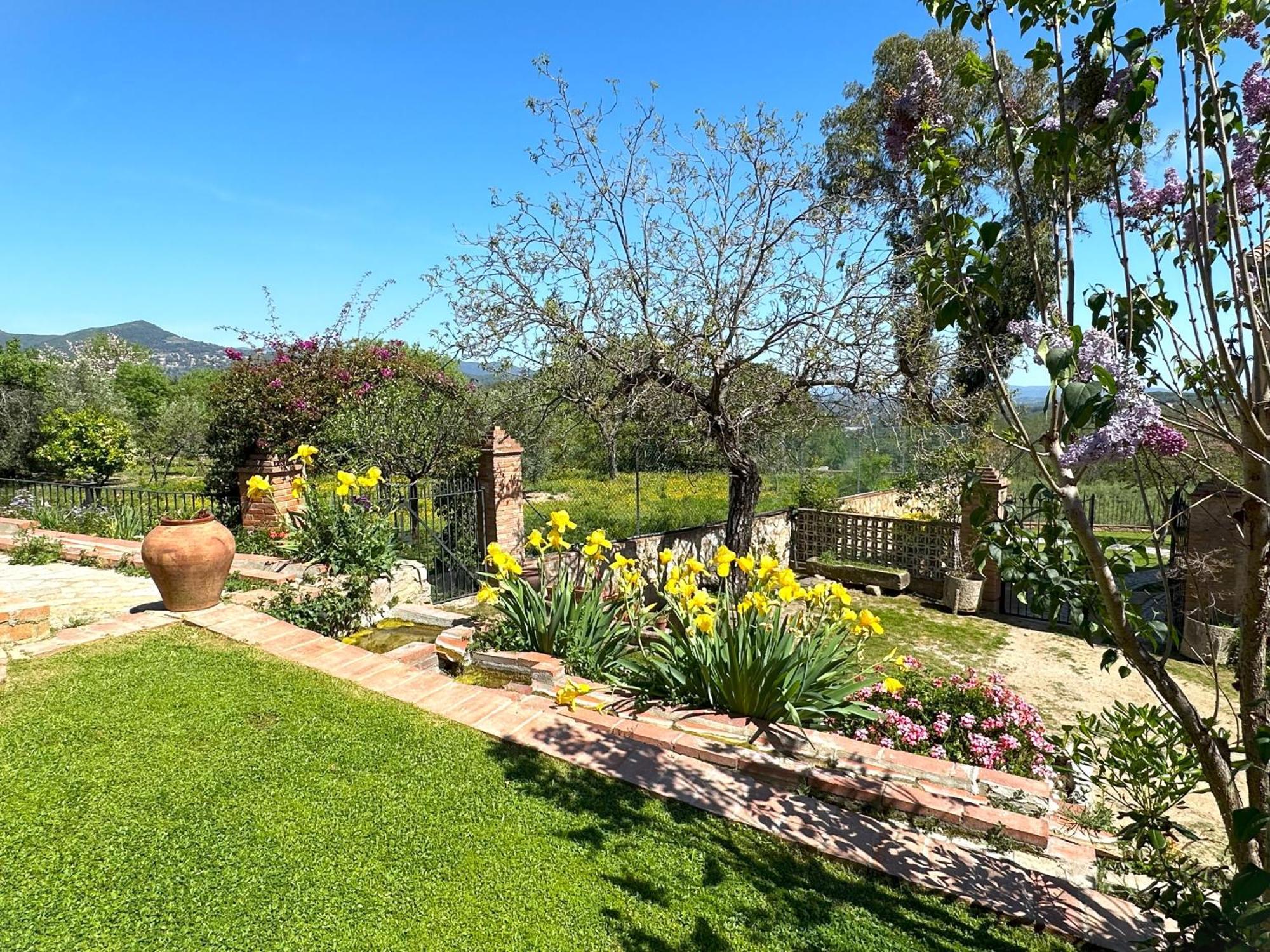 Masia Can Viver - Olive Oil Tourism B&B Bigues I Riells Luaran gambar
