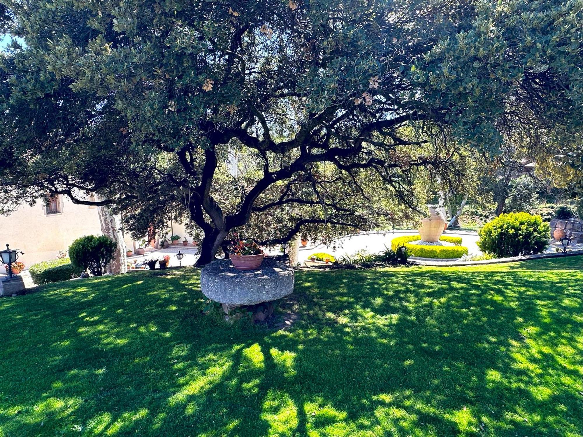 Masia Can Viver - Olive Oil Tourism B&B Bigues I Riells Luaran gambar